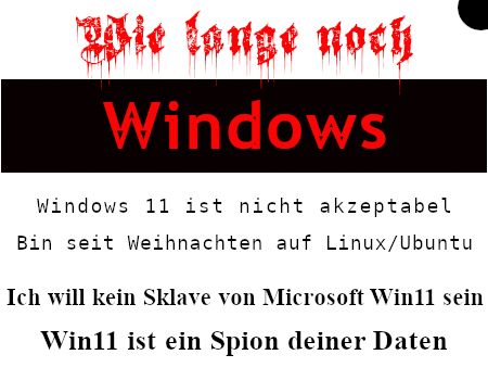 Win 11 der Spion